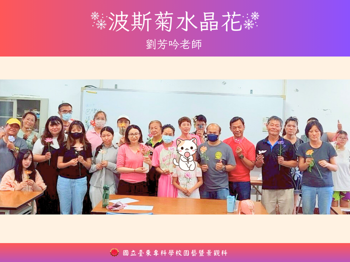 《114年USR-Hub「閒」樂活農業-為台東注入新生力計畫》之 「波斯菊水晶花」圖片