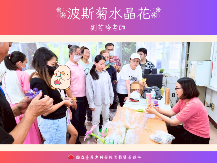 《114年USR-Hub「閒」樂活農業-為台東注入新生力計畫》之 「波斯菊水晶花」圖片