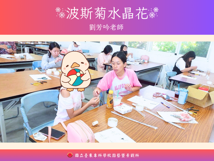 《114年USR-Hub「閒」樂活農業-為台東注入新生力計畫》之 「波斯菊水晶花」圖片
