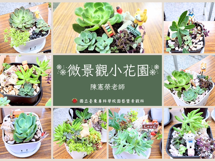 《114年USR-Hub「閒」樂活農業-為台東注入新生力計畫》之 「微景觀小花園」圖片