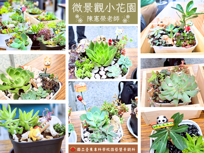 《114年USR-Hub「閒」樂活農業-為台東注入新生力計畫》之 「微景觀小花園」圖片