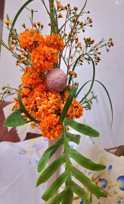 《114年USR-Hub「閒」樂活農業－為台東注入新生力計畫》之 《從田野到花藝：樂活農業在生活美學中的綻放》圖片