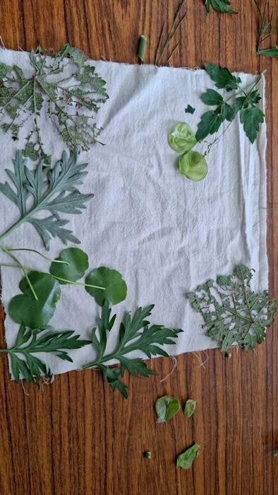 《114年USR-Hub「閒」樂活農業－為台東注入新生力計畫》之 《拾葉．樂活．印記》圖片