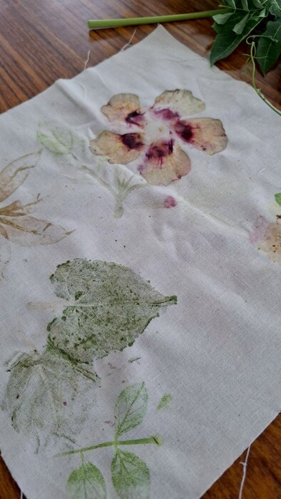 《114年USR-Hub「閒」樂活農業－為台東注入新生力計畫》之 《拾葉．樂活．印記》圖片