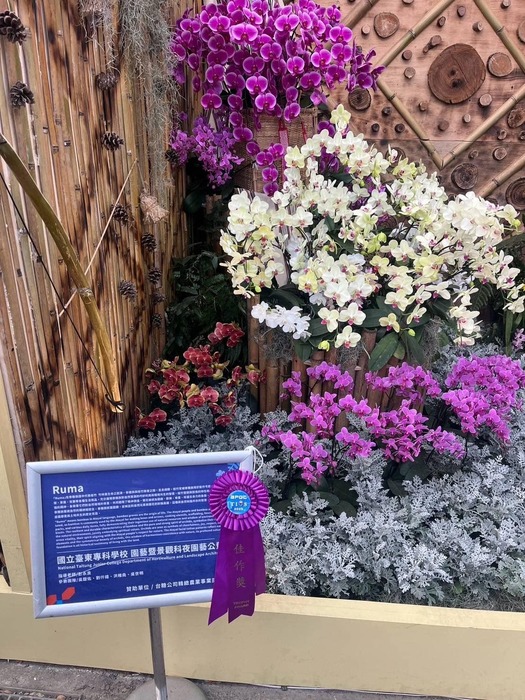 2025.03.07 🎉榮耀綻放｜園藝暨景觀科勇奪2025台灣國際蘭展佳作殊榮圖片