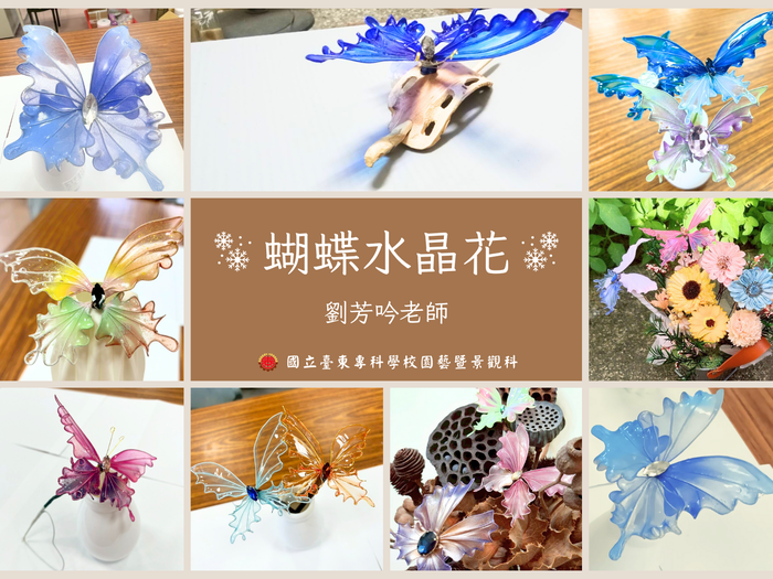 《114年USR-Hub「閒」樂活農業-為台東注入新生力計畫》之 「蝴蝶水晶花活動」圖片