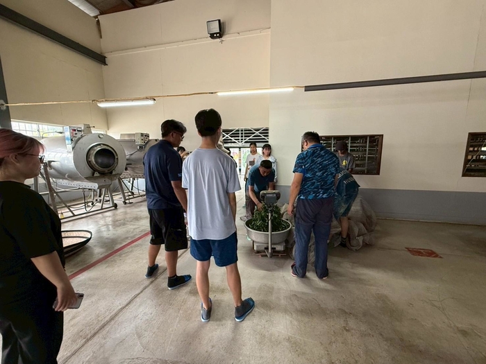 113-2課程參訪紀實|園藝科師生走訪林旺製茶廠,體驗製茶職人精神圖片