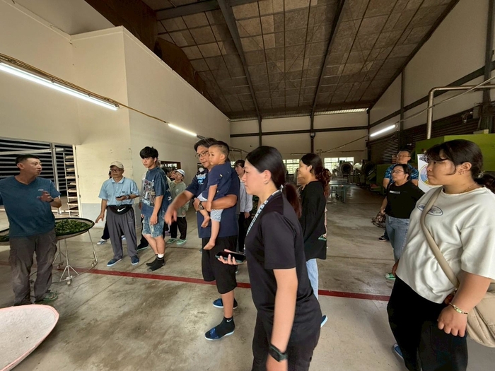 113-2課程參訪紀實|園藝科師生走訪林旺製茶廠,體驗製茶職人精神圖片