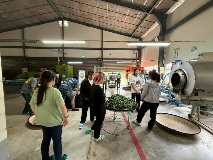 113-2課程參訪紀實|園藝科師生走訪林旺製茶廠,體驗製茶職人精神圖片