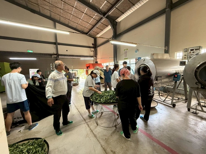113-2課程參訪紀實|園藝科師生走訪林旺製茶廠,體驗製茶職人精神圖片