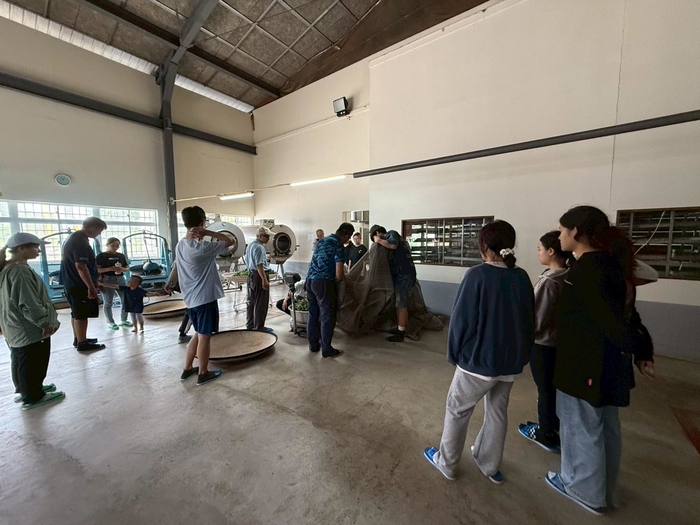 113-2課程參訪紀實|園藝科師生走訪林旺製茶廠,體驗製茶職人精神圖片